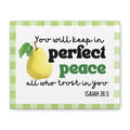 Peace - Fruit of the Spirit Stretched Matte Canvas